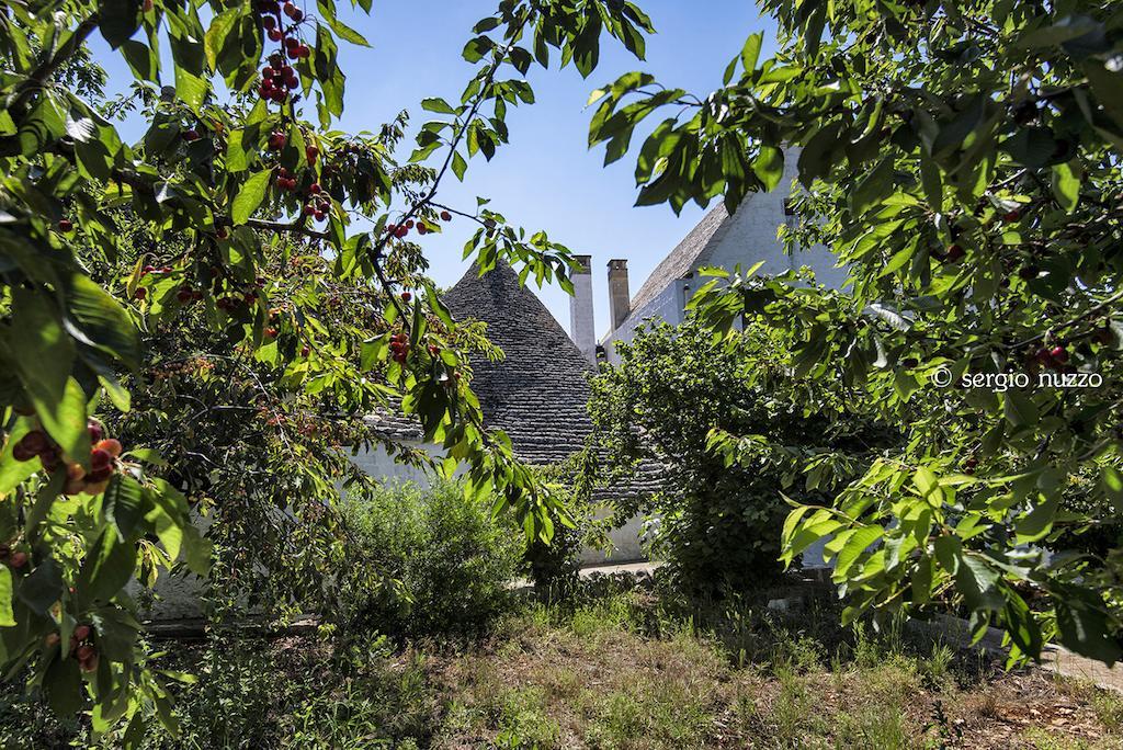 Masseria Mazzalorsa อัลเบโรเบลโล ภายนอก รูปภาพ