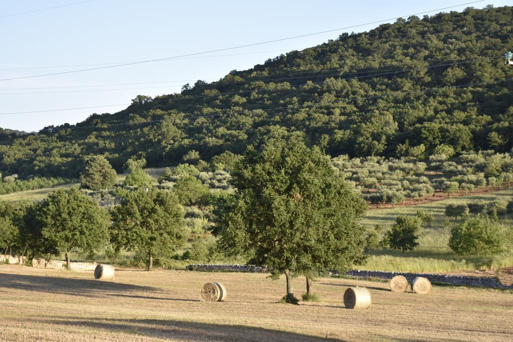 Masseria Mazzalorsa อัลเบโรเบลโล ภายนอก รูปภาพ